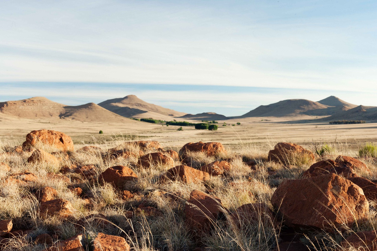 The untouched Karoo landscape at Sneeuberg, with its koppies, crevices and plains, is an ideal habitat for Cape vultures.